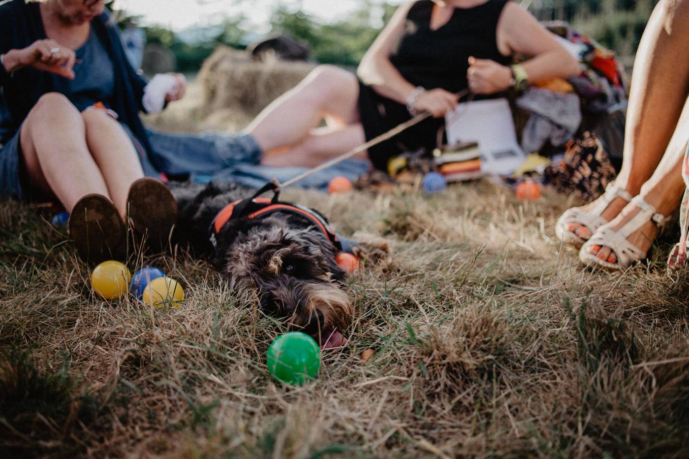 Mariage champêtre nature