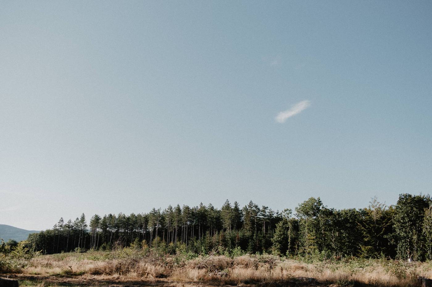 Mariage champêtre nature