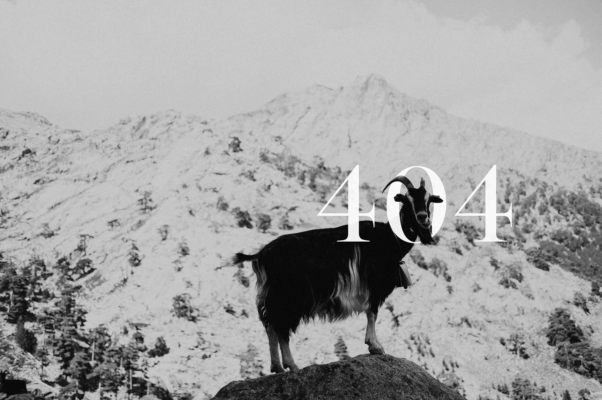Lost goat 404 page